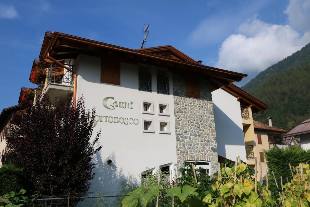 Garni Sottobosco 3* Dimaro